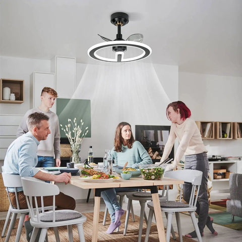 19 Inch Modern Ceiling Fan With Dimmable LED Light in kitchen, black, low profile, 3 reversible blades, two down rods, group dining
