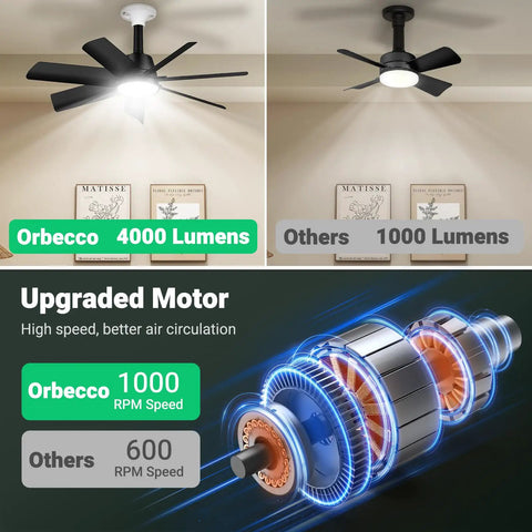 Two In One Socket Fan Light With Remote, 28 Inch Ceiling Fan Delivers 4000 Lumens, 3000K To 6500K Color Temperature, Six Speeds