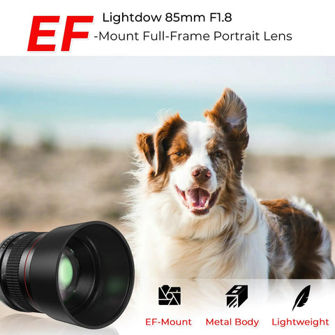 85mm F1.8 Portrait Manual Focus Lens For EF/EF-S Mount DSLRs No Autofocus Creamy Bokeh next to a dog on the beach