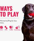 Dog holding red toy next to text 'Ways to Play' and icons for fetch, chew, cuddle, noisemaking, minimal stuffing.