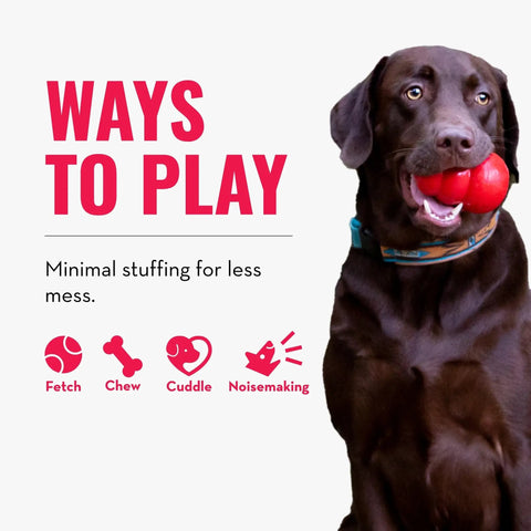 Dog holding red toy next to text 'Ways to Play' and icons for fetch, chew, cuddle, noisemaking, minimal stuffing.