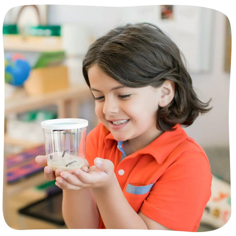Child holding Cup Of Caterpillars Refill Kit With Five Live Painted Lady Caterpillars And Food Included, Chrys A Lid Log Included.