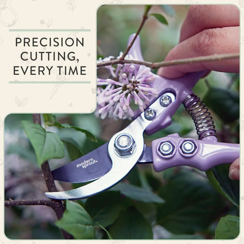 Hand using Lightweight Hand Pruners And Pruning Shears With Easy Lock For Garden Gear Yard Work Bypass Carbon Steel Blade Rust Resistant Garden Tools With Reusable Holster Sage on flower stem