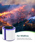 Dyson TP04 HP04 DP04 Air Purifier Replacement Filter 360 Combi Glass True High Efficiency Filter with wildfire background