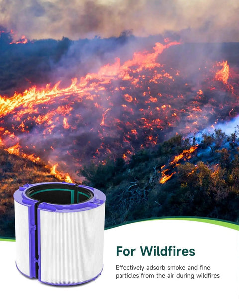 Dyson TP04 HP04 DP04 Air Purifier Replacement Filter 360 Combi Glass True High Efficiency Filter with wildfire background