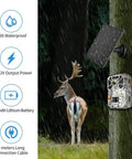 Trail Camera Solar Power Kit With Built In 5000mAh Battery IP66 Waterproof Portable Charger mounted on tree near deer