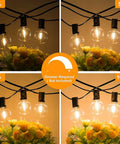 Dimmable 200ft Outdoor G40 LED Globe String Lights With 103 Bulbs above flowers at various brightness levels, for patios and parties