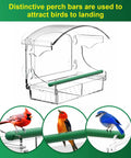 Clear Acrylic Window Bird Feeder With 4 Strong Suction Cups And Detachable Seed Tray Highly Transparent Outdoor Viewing Birdfeeder