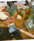 Ergonomic Wooden Handle Weed Puller Tool For Gardeners Lightweight Weeding Tool displayed with terrarium planting scene