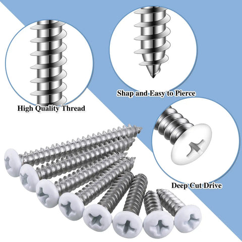 Built Tough Number 8 Pan Head Screws Self Tapping Stainless Steel assorted fastener kit with high quality threads and deep cut drive.