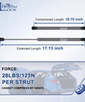 Heavy Duty 17 Inch Gas Struts Lift Supports 28lb 125n Push Force 2 Pack for RV Bed and trunk with size details.