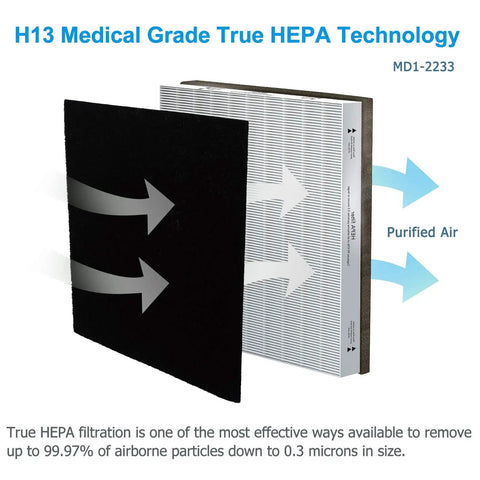 Replacement Filter Pack For Vornado Air Purifiers with H13 Main Filter and carbon pre-filter, showing airflow arrows.