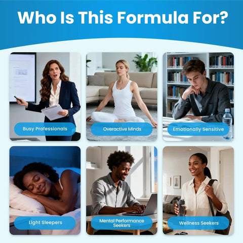 Grid showing diverse individuals under categories like Busy Professionals, Overactive Minds, and Mental Performance Seekers.