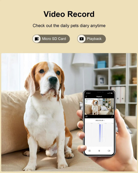 Indoor Security Cam 1080P Plug In WiFi For Home Security, Pet And Baby Monitor showing phone app with dog on screen