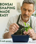 Man shaping bonsai tree sapling in pot, demonstrating All In One Bonsai Starter Kit For Plant Lovers Grow Four Bonsai Trees At Home