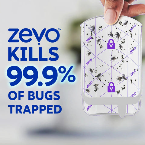 Plug In Flying Insect Trap For Fruit Flies And Gnats Using Blue And Uv Light With Zero Mess Adhesive Cartridge To Keep Your Spot Bug Free Includes Two Base Units And Two Sweet Refills That Chase Pests Night And Day For Low Key Indoor Fly Elimination with trapped bugs displayed.