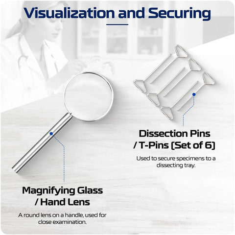 Dissection Kit Set With 46 Or 33 Piece German Stainless Steel Instruments For College Medical Veterinary And Middle And High School Labs magnifying glass and T-pins