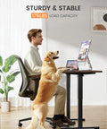 Top Notch ErGear Low Height Adjustable Electric Standing Desk 48 X 24 Inches For Kids with dog and user, walnut finish, stable design.