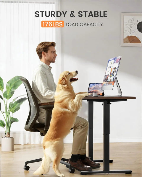Top Notch ErGear Low Height Adjustable Electric Standing Desk 48 X 24 Inches For Kids with dog and user, walnut finish, stable design.