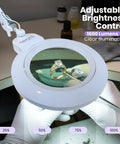 XL Bifocal LED Magnifying Lamp With 7 Inch Acrylic Lens 2.25x And 6x Magnification, 1600 Lumens Dimmable showing jewelry