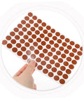 Easy Install No Drill Needed Screw Hole Covers For Furniture And Cabinets, Wear Resistant Decorative Sticker Caps To Hide Screws And Nail Holes sheet in hand
