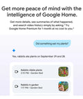 Google Home interface showing security alerts about rabbits eating plants on specific dates.