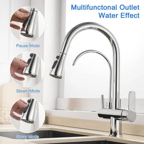Two Handle Kitchen Sink Faucet With Pull Down Sprayer Hot And Cold Water Built In RO Filtration 3 In 1 Water Purifier Chrome