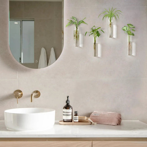 Glass Tube Propagation Station Hanging Vase Set - 4 Cylinder Wall Planters above bathroom sink with plants