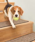 Dog safely descending stairs with Skid-Resistant Carpet Stair Treads Set Of 15 In Black Ripple 8 By 27 Inches Non-Slip Rubber Backing.