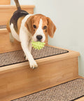 Dog walking on Set Of 15 Skid Resistant Carpet Stair Treads Black Ripple 8 Inches By 30 Inches No Slip Rubber Backing for Safe Steps