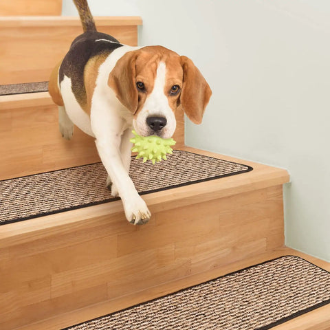 Dog walking on Set Of 15 Skid Resistant Carpet Stair Treads Black Ripple 8 Inches By 30 Inches No Slip Rubber Backing for Safe Steps