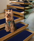Dog on wooden stairs with Non Slip Stair Treads 8x30 Inches 15 Pack Navy Blue with Reusable Adhesive Indoor Rug Runners