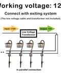 Diagram of Low Voltage Pathway Lights 4 Pack EZ Install With 3W 185LM LED Landscape Lighting setup.