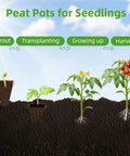 Peat pots for seedlings sprout, transplanting, growing up, harvest stages for 300 Cell Seed Starter Tray Kit With Biodegradable Peat Pots For Seedlings No Mess 25 Trays With Drain Holes Organic Germination Kit Includes Plant Labels And Mini Tools Khaki