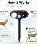 Deer Repellent Pack 4 With Solar Powered Ultrasonic Motion Sensor and LED Flashlight IP65 Waterproof Cat and Rabbit Deterrent for Outdoor Gardens and Yard No Go Zone Keeps Flowers Safe From Browsing Deer and Wildlife showing motion detection steps