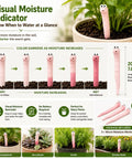 Soil Moisture Sensor Kit For Indoor And Outdoor Plants Water Monitor Hygrometer Meter For Pots And Garden Decor 3 Pack No Fuss Easy Read Plant Care Tool For Home Gardeners 20cm worm probe in potted plant