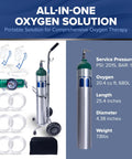 USA Made Oxygen Tank Complete Set 680 Liter Capacity ME E Size With Toggle Valve And Adjustable Regulator Ships Empty