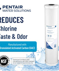 Big Blue Carbon Water Filter Cartridge 10 Inch Radial Flow GAC 25 Micron Reduces Sediment and Chlorine Taste Odor label