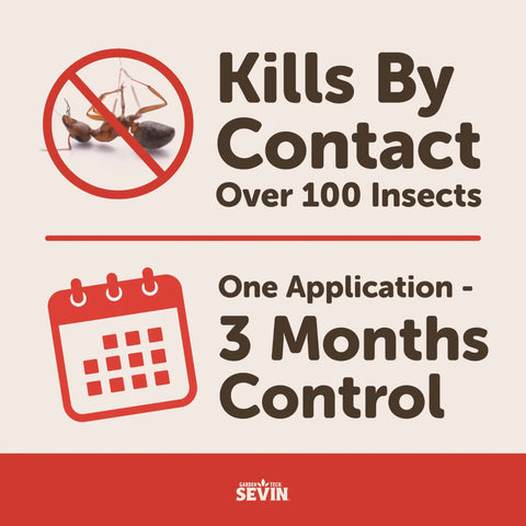 Image showing details of insect granules, kills by contact over 100 insects, 3 months control, for lawns and gardens.