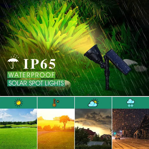 Outdoor Solar Spotlight Kit With 18 LED Ultra Bright Lights Waterproof 600 Lumen illuminating garden plants in rain