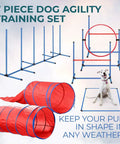 7-piece All In One Dog Agility Training Kit With Jump Bar Hurdle Blind Tunnel Standard Tunnel Weave Poles And Easy Carry Case