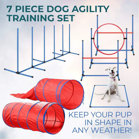 All Weather Dog Agility Training Set includes tunnels, jumps, weave poles, and pause box for indoor or outdoor fun.