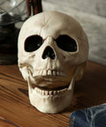 Six Inch Realistic Skeleton Skull Prop With Movable Jaw Made From All Weather Plastic Ideal For Halloween Decor on table