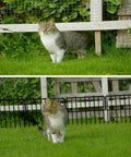 No Dig Yard Fence Border Kit 10 Pcs Upgraded One Point Two Six Inch Gap Decorative Fence For Rabbits And Dogs in garden with cat