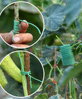 Close-up of Green Twist Plant Tie Kit with 118 Feet of Flexible TPR Garden Ties supporting garden plants outdoors.