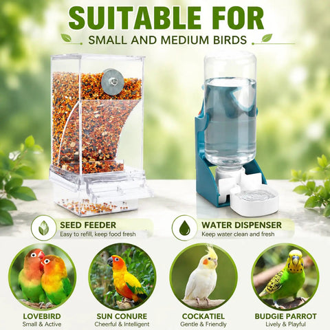 No Sweat Bird Feeder And Water Dispenser Duo For Small Parrots Two Pack Hanging Cage Cups Transparent Pet Food Bowl Quick Load Avian Care Essentials For Flocks with seed feeder and water dispenser.