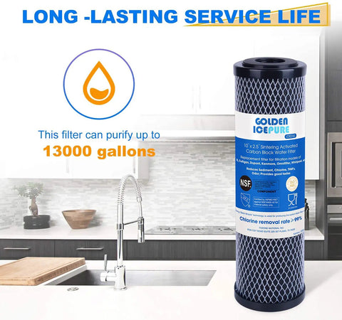 One Micron 2.5 Inch by 10 Inch Whole House CTO Carbon Water Filter in kitchen, 13000 gallon capacity.