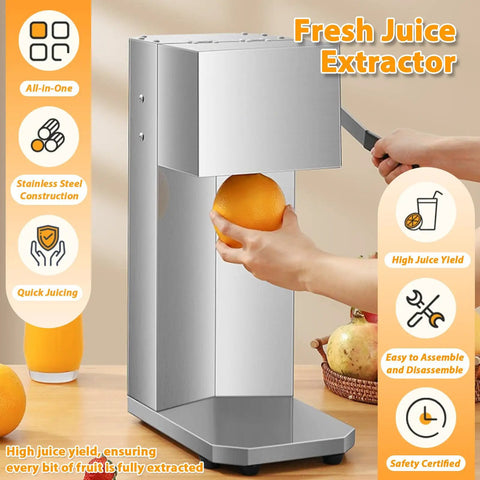 Hand Press Juicer With Fruit Cup Design Lever Extractor For Fresh Juice On Demand Eco Friendly Shop Ready Commercial Juicer With Sturdy Frame Compact Short Component And Long Extractor For Juice Shops, stainless steel