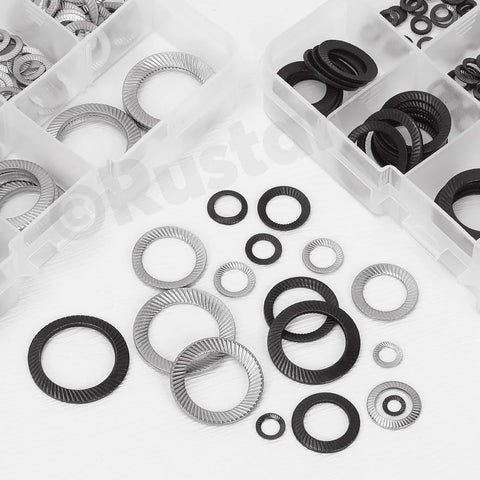 Assorted 304 stainless steel lock washers set in a plastic case with serrated teeth, multiple sizes.