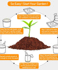 Diagram of planting process using 50 Pack 30mm Coco Coir Pellets Seed Starter Soil Mix Organic Coconut Coir Pods For Seedlings